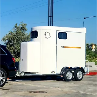 Transporte de caballos economico