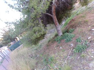 Terreno en venta en Centro en Roda de Barà