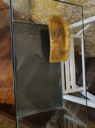 Acuario Tortuguera CON ACCESORIOS