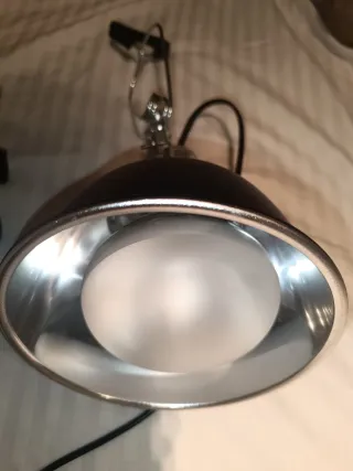 Acuario Tortuguera CON ACCESORIOS