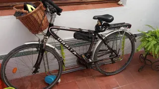 Bicicleta Orbea Trekking