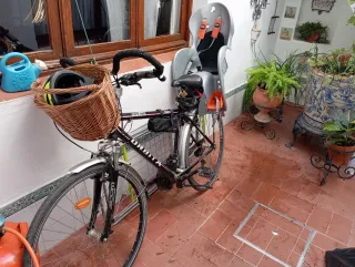 Bicicleta Orbea Trekking