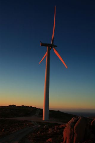 Fotografía profesional