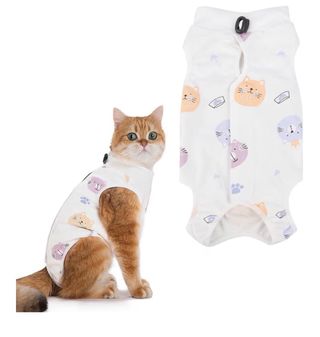 Chaleco post-operatorio gato