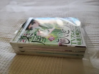 Los diarios de la boticaria version Japonesa