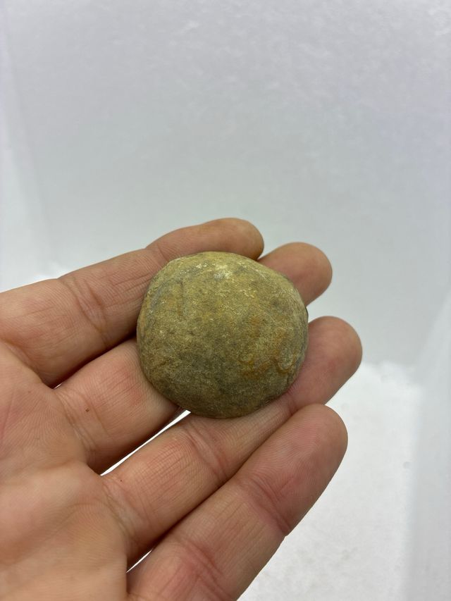 Minerale naturale di Septaria