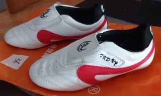 Zapatillas Taekwondo