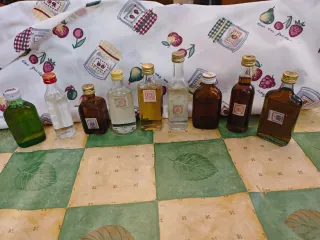 Lote de 9 Mignon Alcohólicas Vintage Varias
