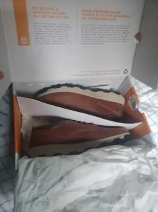 Zapatos TIMBERLAND (Windsor Park) T-43