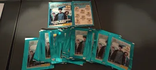 Harry Potter A Year at Hogwarts Panini