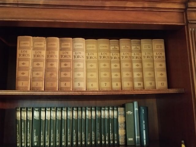 Los toros: Tratado técnico e histórico (Spani...