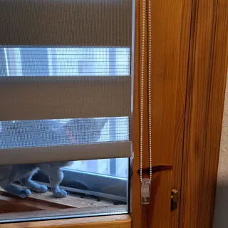 Estores enrollables grises sin taladro noche y dia