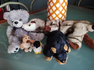 Set 5 peluche: orso, cane, pinguino, ecc.