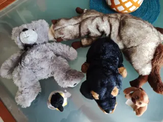 Set 5 peluche: orso, cane, pinguino, ecc.