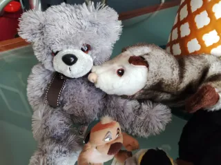 Set 5 peluche: orso, cane, pinguino, ecc.