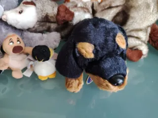 Set 5 peluche: orso, cane, pinguino, ecc.