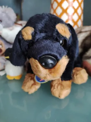 Set 5 peluche: orso, cane, pinguino, ecc.