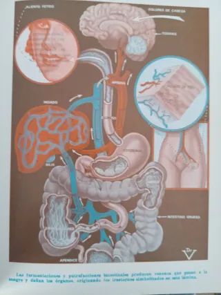 Guia Medica del Hogar