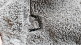 Chaqueta gris con pelo sintético