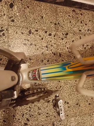 Bicicleta Orbea Zeus Veneto Profesional