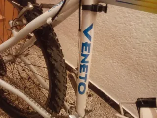 Bicicleta Orbea Zeus Veneto Profesional