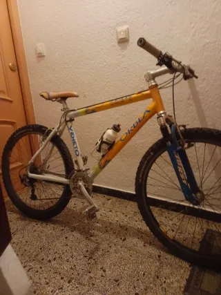 Bicicleta Orbea Zeus Veneto Profesional