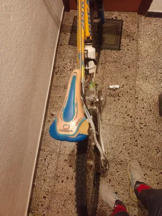 Bicicleta Orbea Zeus Veneto Profesional