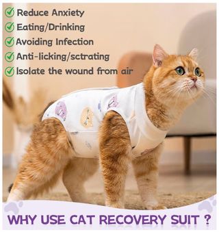 Chaleco recuperación gata post-cirugía
