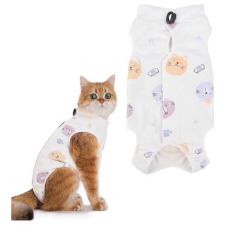 Chaleco recuperación gata post-cirugía