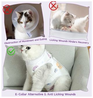 Chaleco recuperación gata post-cirugía