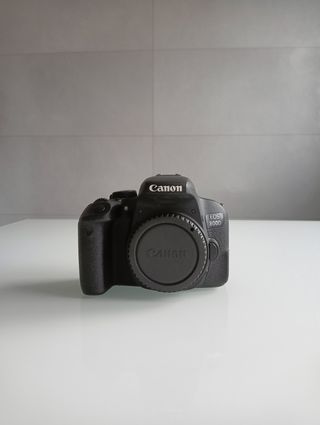 Canon EOS 800D + Yongnuo 50mm + Sigma 17-50mm