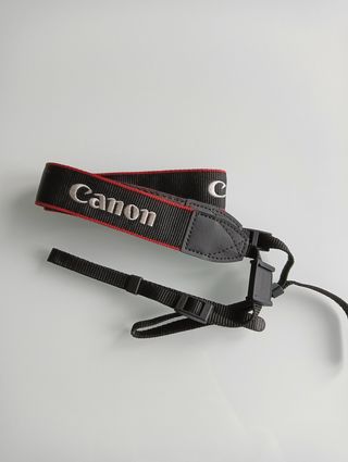 Canon EOS 800D + Yongnuo 50mm + Sigma 17-50mm