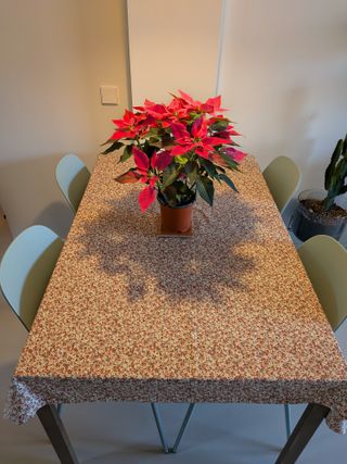 Sillas comedor verde agua ElCorteInglés