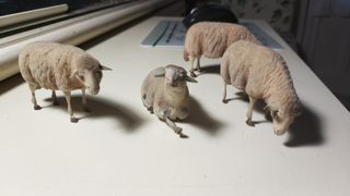 Ovejas Belén Antiguas