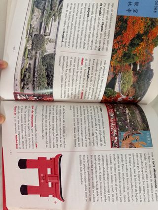 Japón, diario de un viaje ilustrado