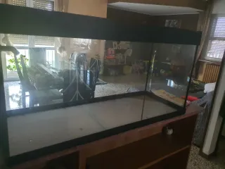 Acquario con accessori