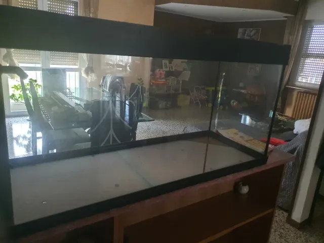 Acquario con accessori