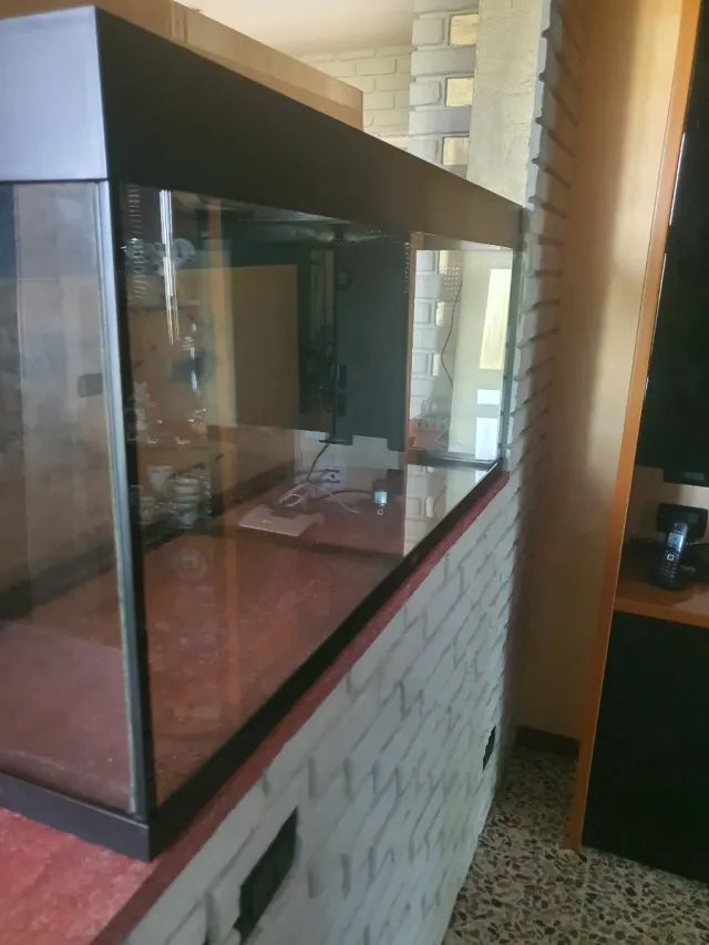 Acquario con accessori