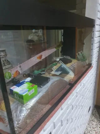 Acquario con accessori