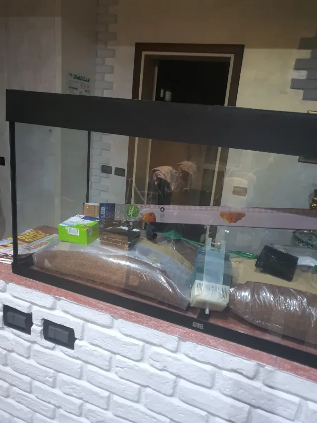 Acquario con accessori