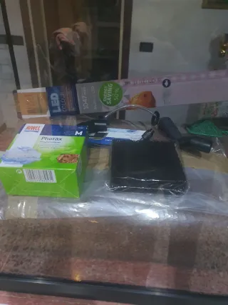 Acquario con accessori