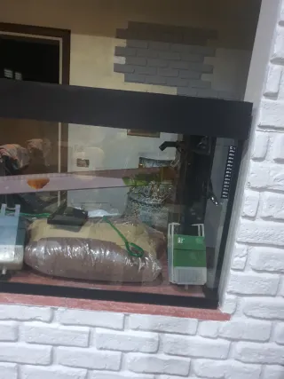 Acquario con accessori