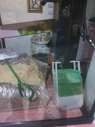 Acquario con accessori