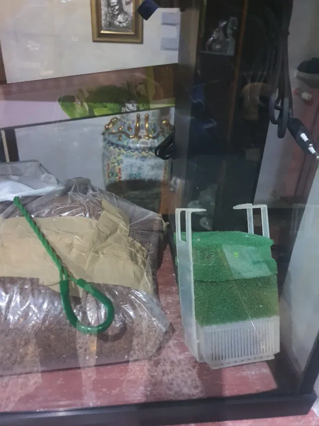 Acquario con accessori