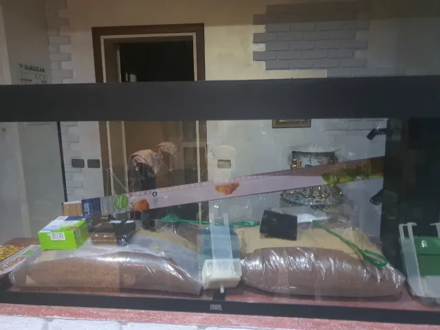 Acquario con accessori