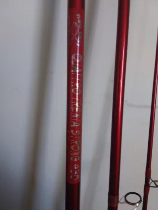 Caña de pesca surfcasting