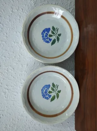 Coppia di piatti antichi con fiori blu