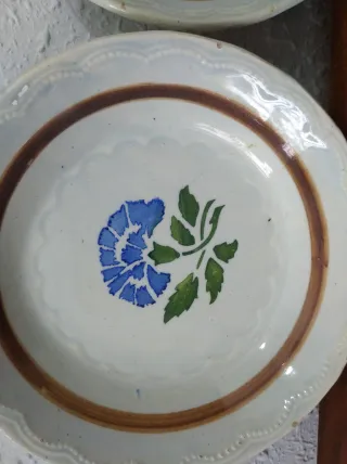 Coppia di piatti antichi con fiori blu
