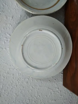 Coppia di piatti antichi con fiori blu