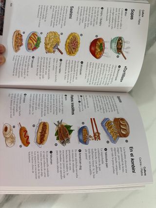 KOCHI KOCHI. LA GUIA DEL VIAJERO EN JAPÓN (SATO...